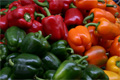Paprika-Schoten